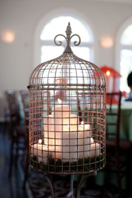 Image source: Use a birdcage to decorate your space!